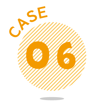 CASE 06